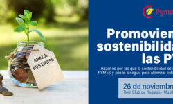 Promoviendo la sostenibilidad en las PYMEs